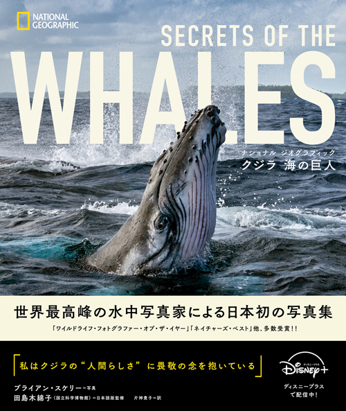 ナショナル ジオグラフィック クジラ 海の巨人 | 日経BOOKプラス
