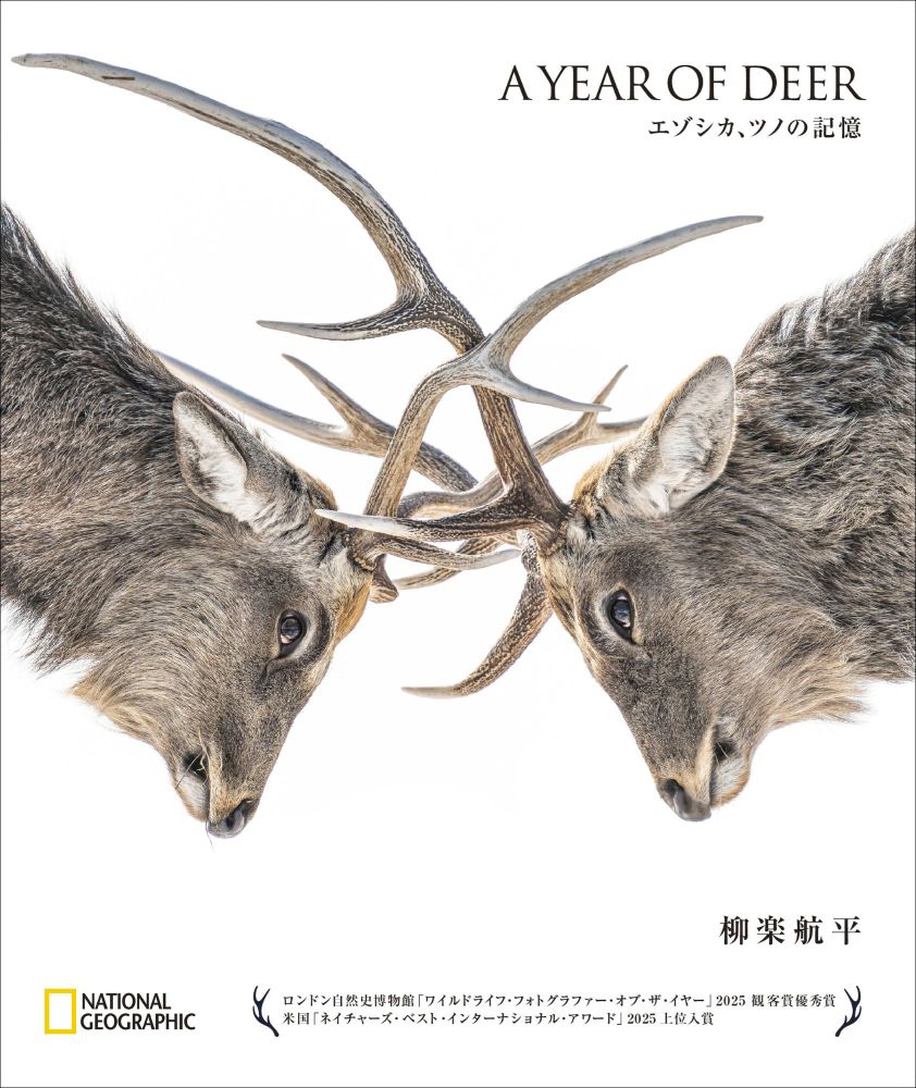 A YEAR OF DEER エゾシカ、ツノの記憶 | 日経BOOKプラス